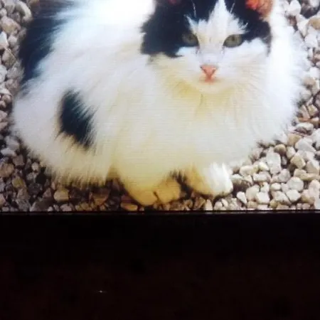 Le Tilleul A Fleurs فندق مبيت وإفطار